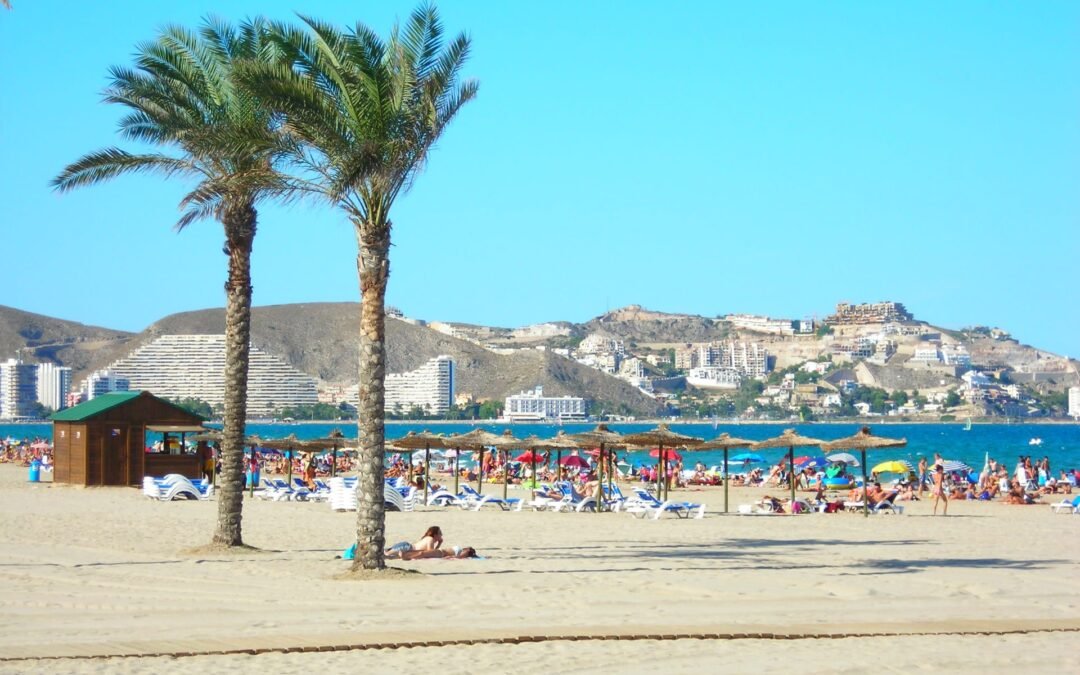 Cullera
