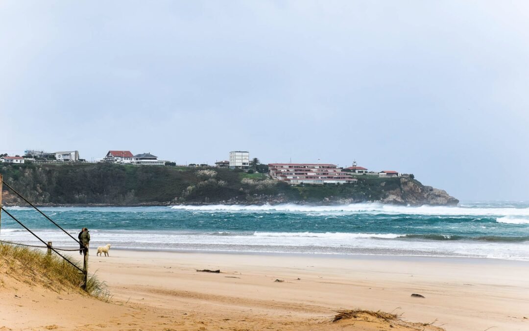 Suances